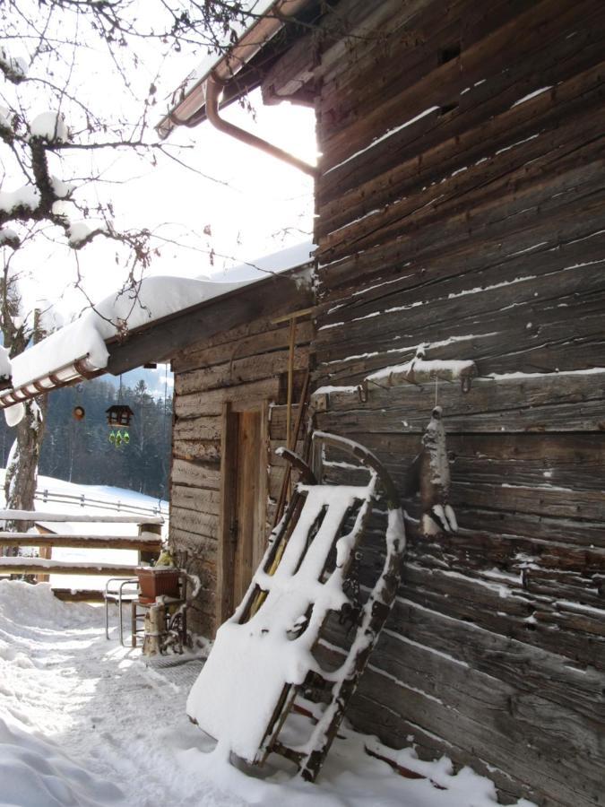 Apartament Bio-Bauernhof Einberghof Pfarrwerfen Zewnętrze zdjęcie