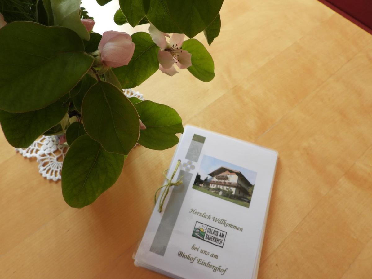 Apartament Bio-Bauernhof Einberghof Pfarrwerfen Zewnętrze zdjęcie