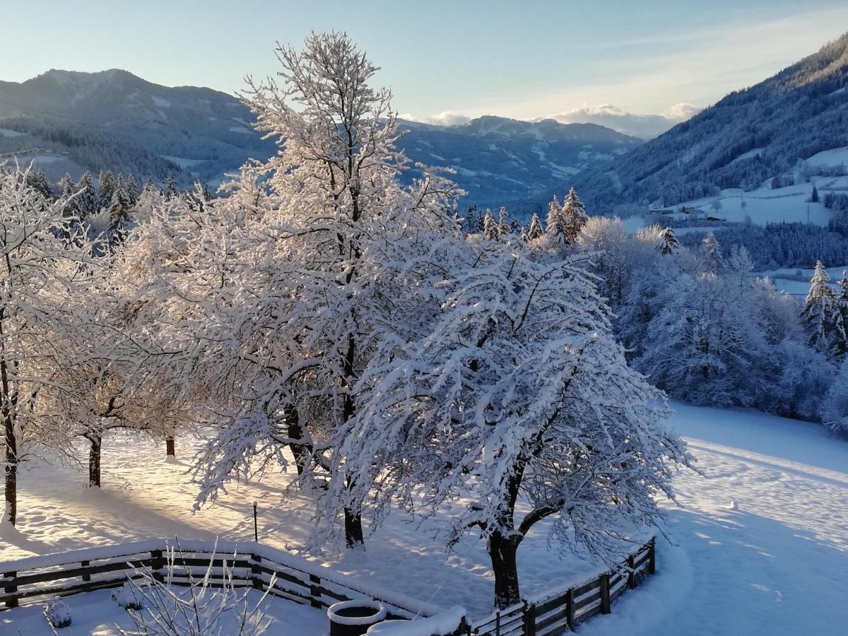Apartament Bio-Bauernhof Einberghof Pfarrwerfen Zewnętrze zdjęcie