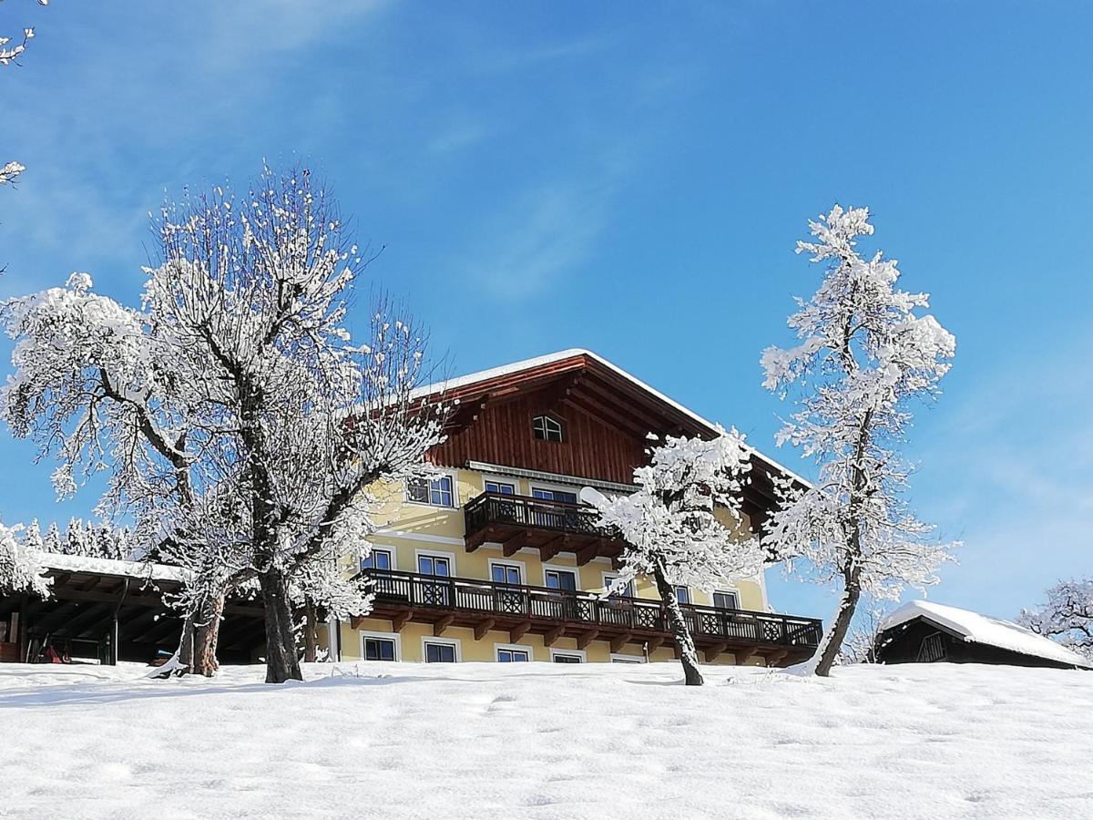 Apartament Bio-Bauernhof Einberghof Pfarrwerfen Zewnętrze zdjęcie