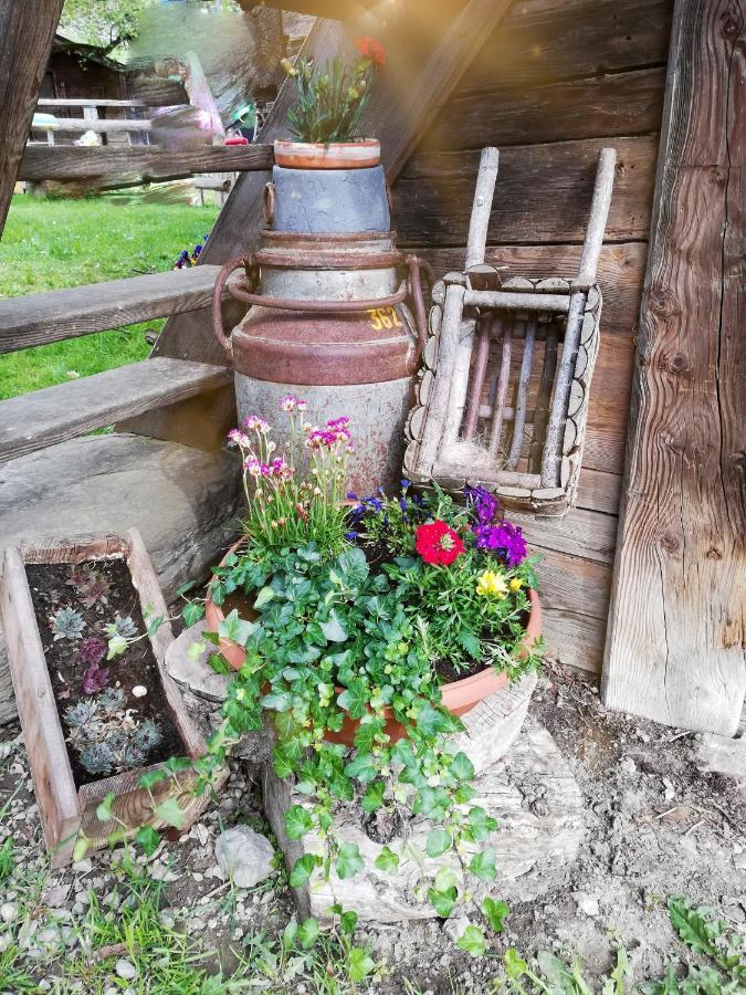 Apartament Bio-Bauernhof Einberghof Pfarrwerfen Zewnętrze zdjęcie