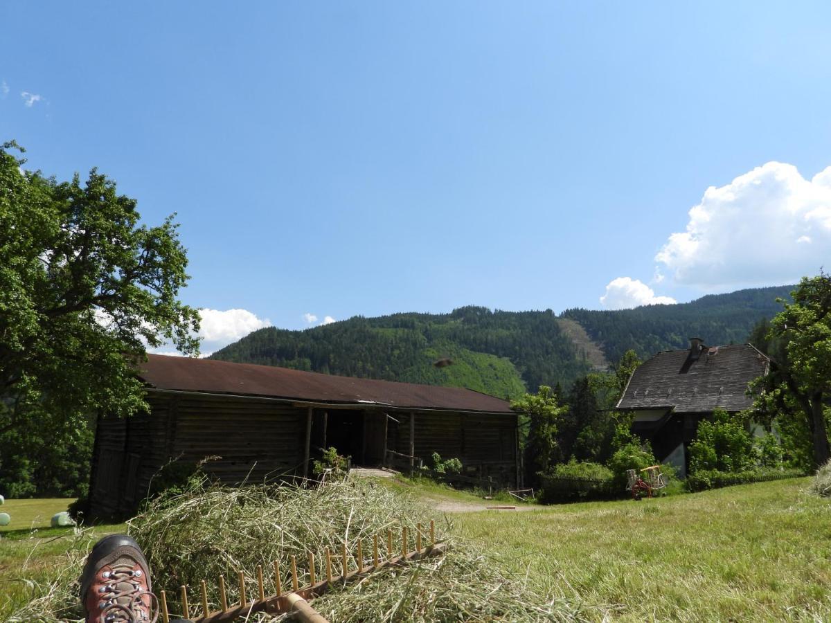 Apartament Bio-Bauernhof Einberghof Pfarrwerfen Zewnętrze zdjęcie