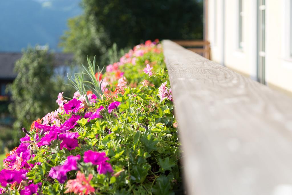 Apartament Bio-Bauernhof Einberghof Pfarrwerfen Zewnętrze zdjęcie