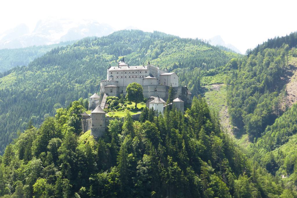 Apartament Bio-Bauernhof Einberghof Pfarrwerfen Zewnętrze zdjęcie