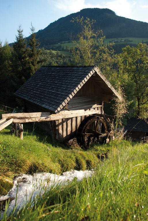 Apartament Bio-Bauernhof Einberghof Pfarrwerfen Zewnętrze zdjęcie