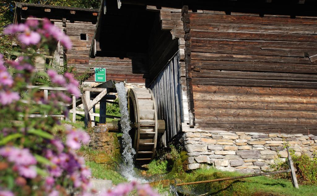 Apartament Bio-Bauernhof Einberghof Pfarrwerfen Zewnętrze zdjęcie